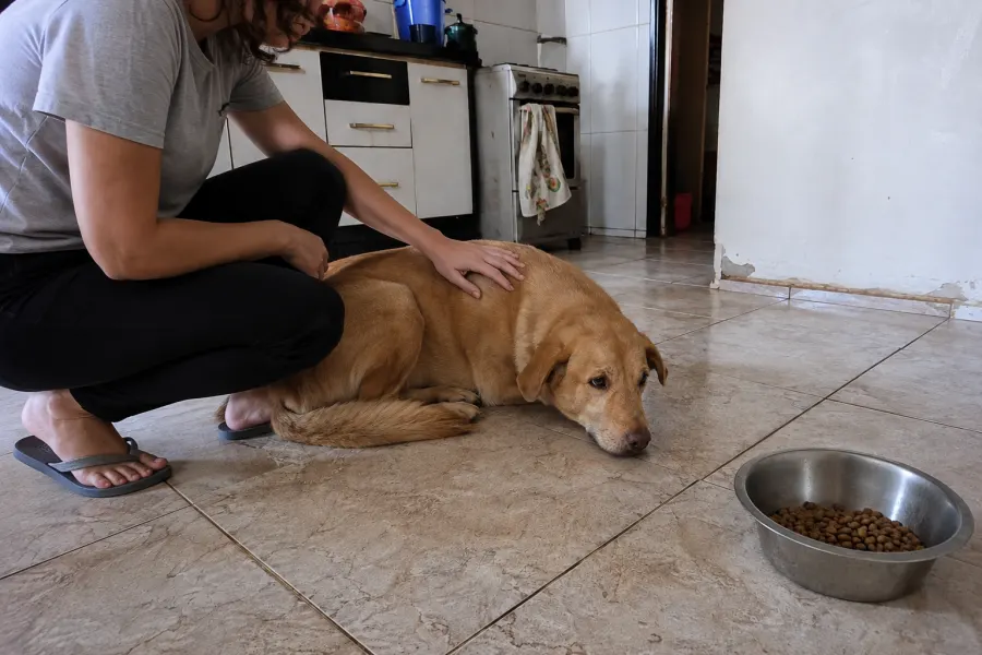 Tutor sentado à mesa, olhar preocupado enquanto pensa na alimentação do cachorro