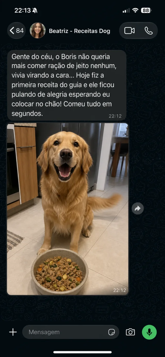 Depoimento da tutora Beatriz sobre o cachorro Boris (28kg) que recusava ração e comeu tudo em segundos